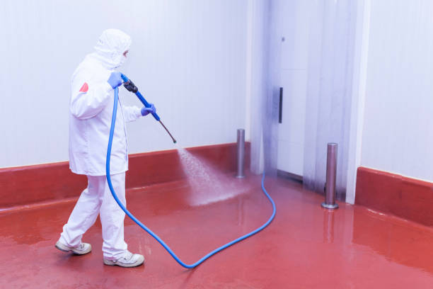 Best Boat and Dock Cleaning  in New Baltimore, MI